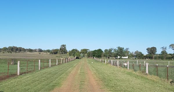 74 Warfields Road, ALLORA, QLD, 4362