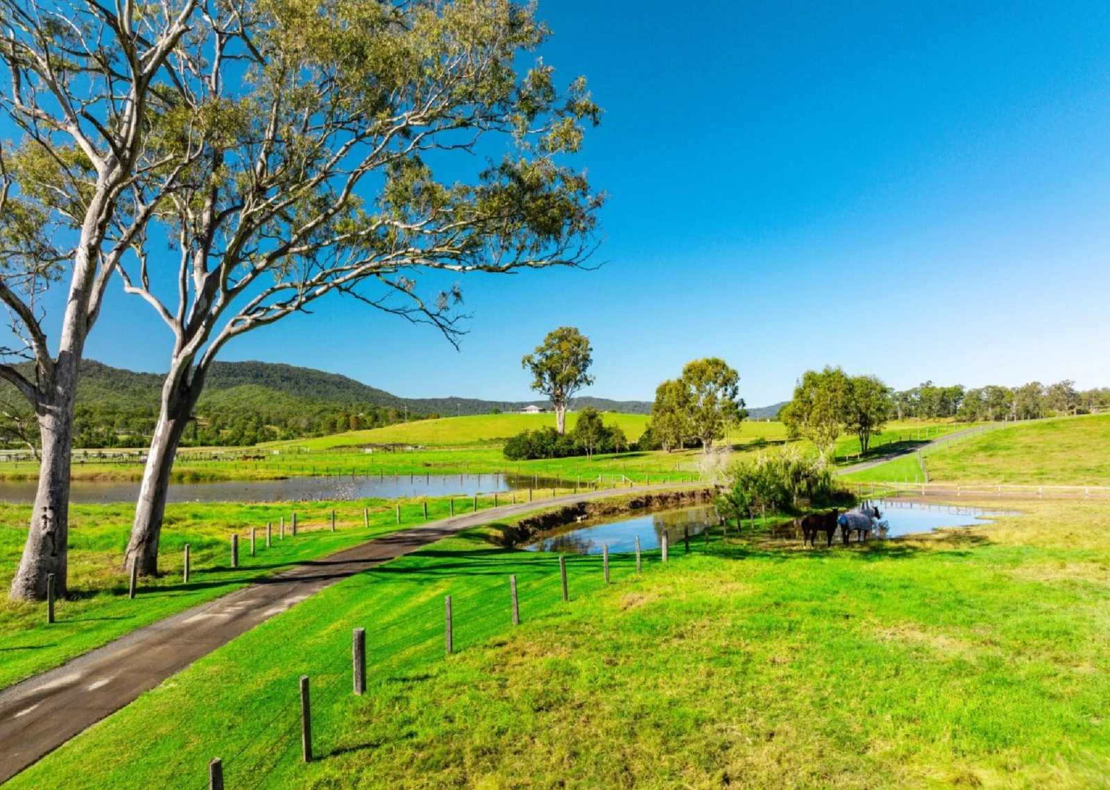 Equine Property real estate agents